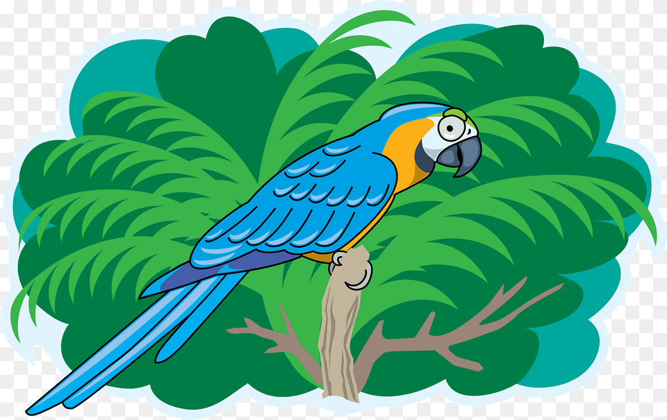Parrot Clipart 2006, Animal, Bird, Person, Macaw Free Png Download