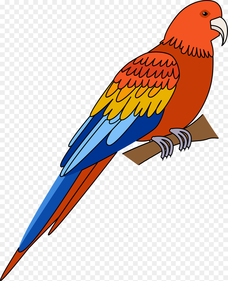 Parrot Clipart, Animal, Bird Free Transparent Png