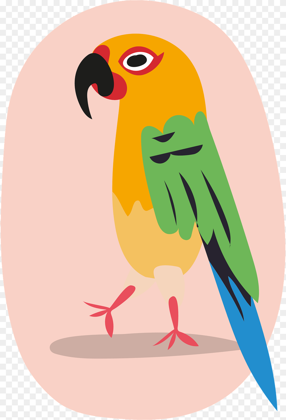 Parrot Clipart, Animal, Beak, Bird, Parakeet Free Png