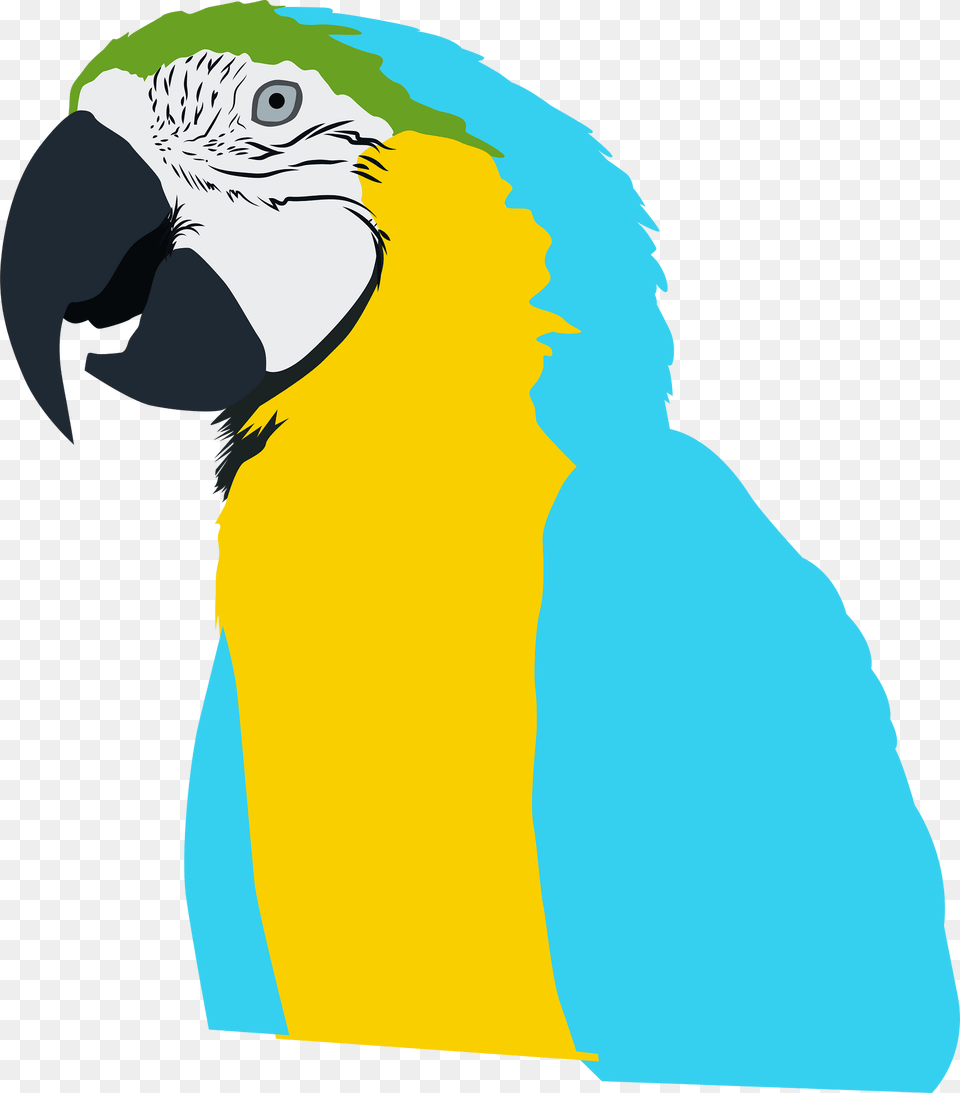Parrot Clipart, Animal, Beak, Bird, Person Png Image