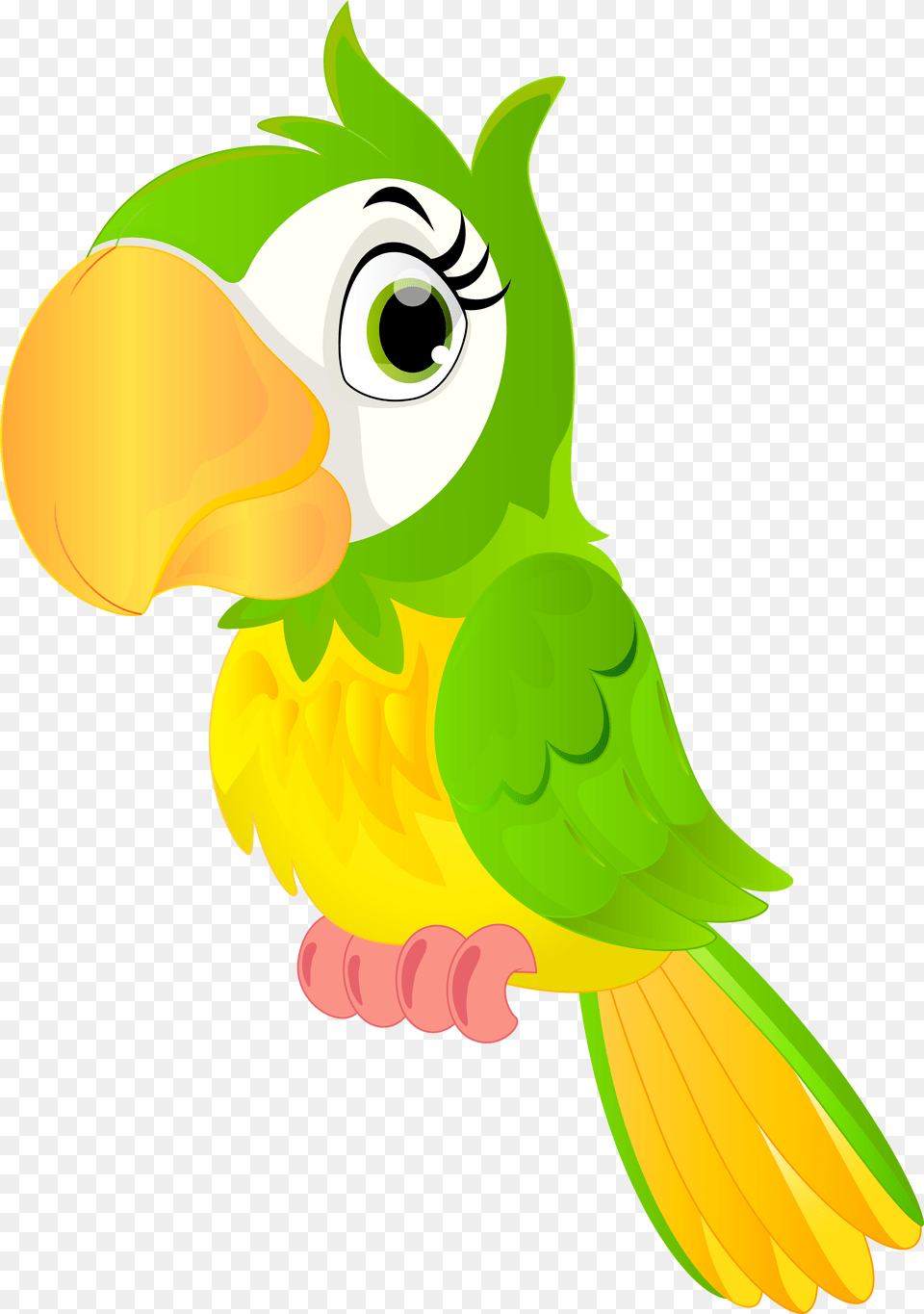 Parrot Clipart, Animal, Beak, Bird, Fish Free Png