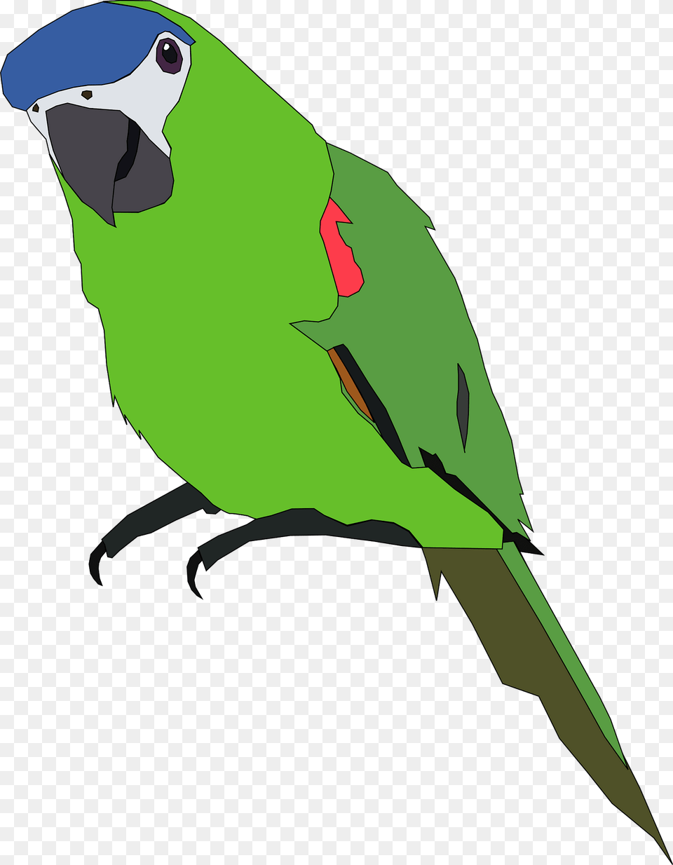 Parrot Clipart, Animal, Bird, Person Png Image