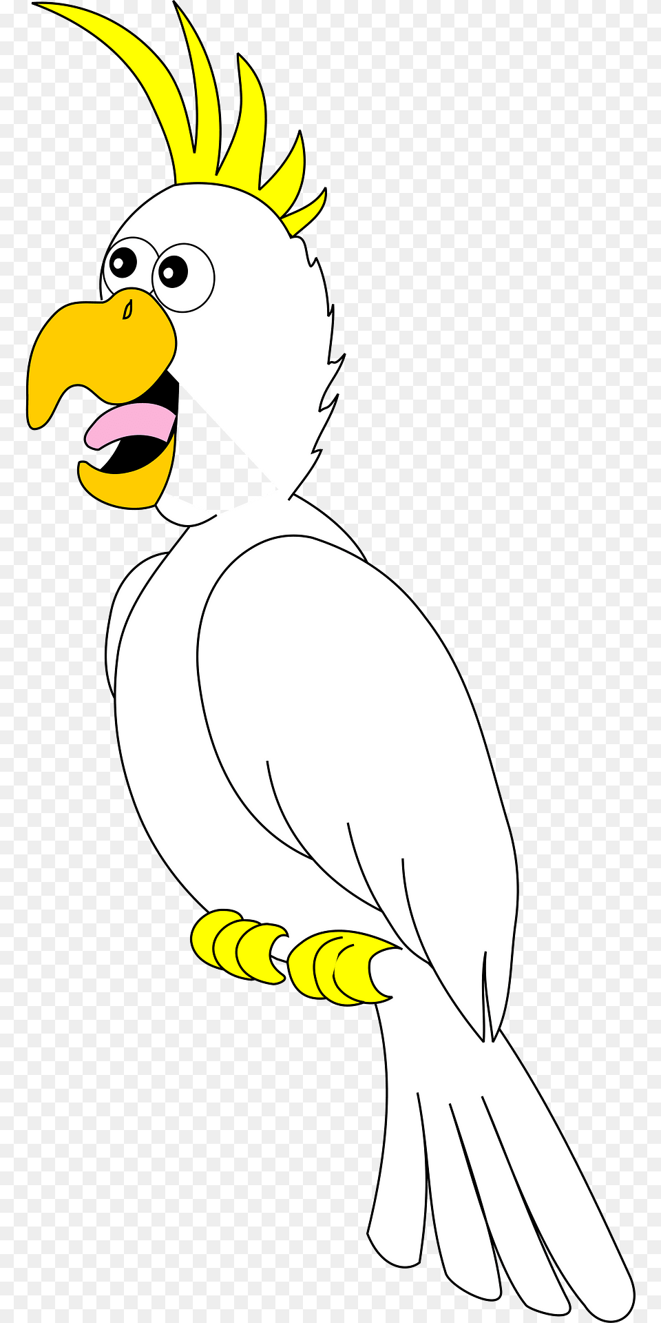 Parrot Clipart, Animal, Beak, Bird, Cockatoo Free Transparent Png