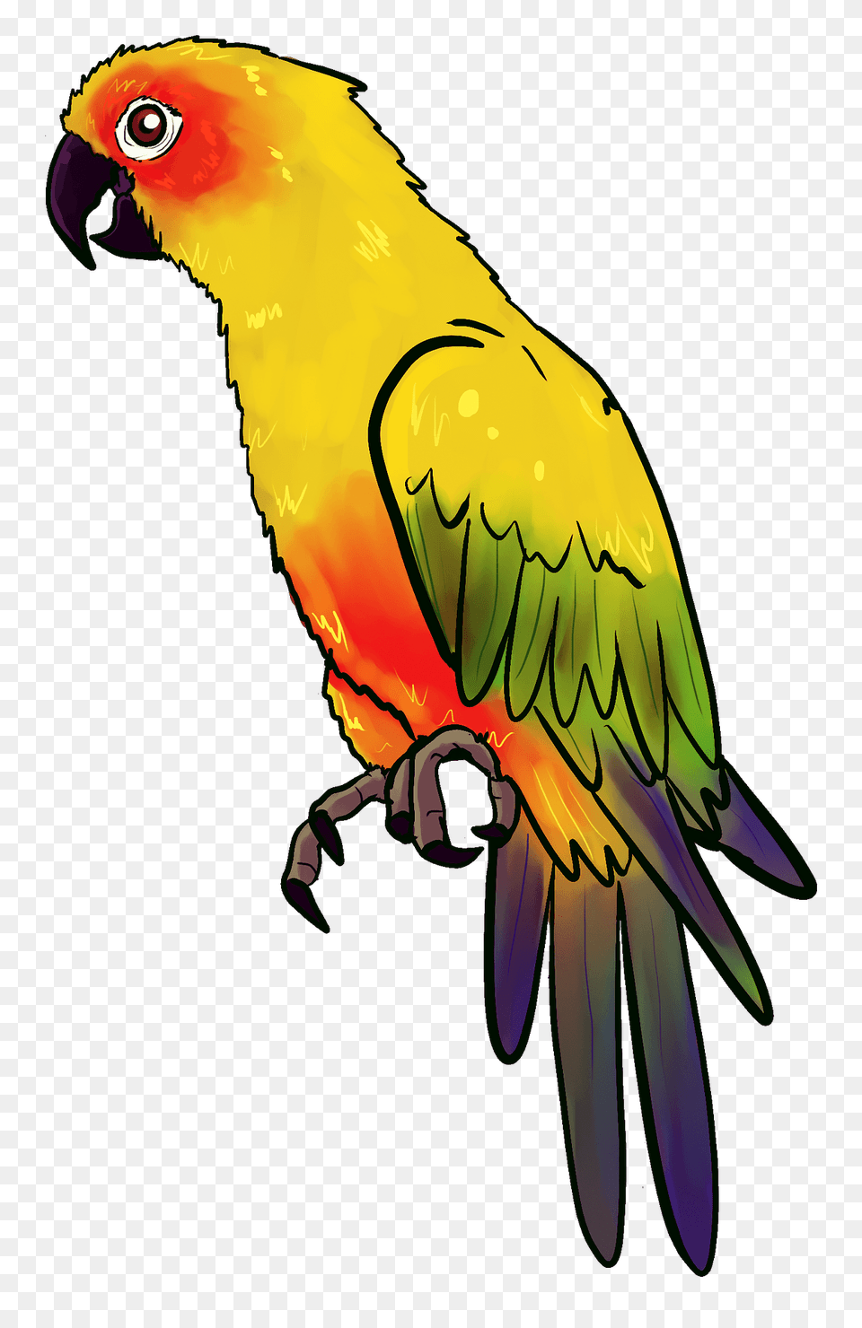 Parrot Clipart, Animal, Bird, Fish, Sea Life Free Png Download