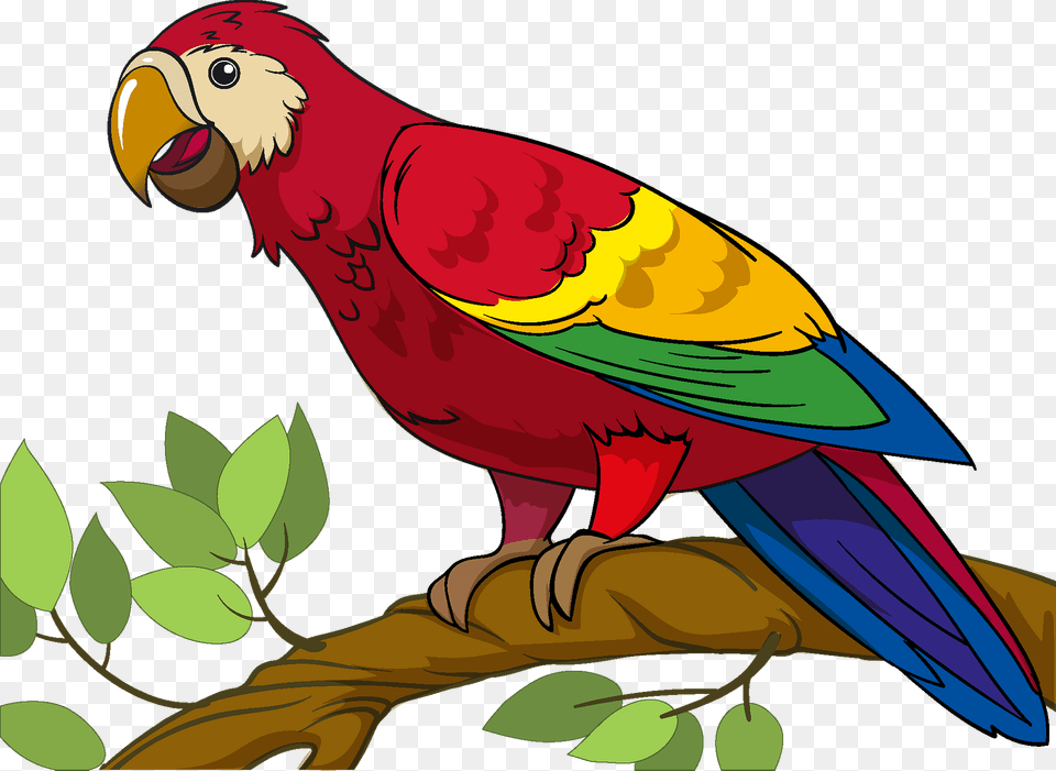 Parrot Clipart, Animal, Fish, Sea Life, Shark Free Png