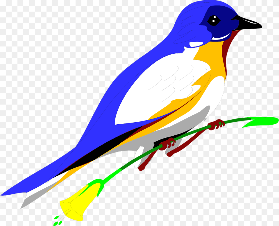 Parrot Clipart Background Blue Boy A True Bluebird Story, Animal, Bird, Jay, Blue Jay Png Image