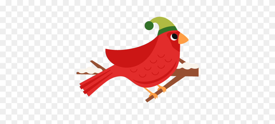 Parrot Clipart Christmas Transparent Christmas Bird Clipart, Animal, Cardinal, Beak Free Png Download