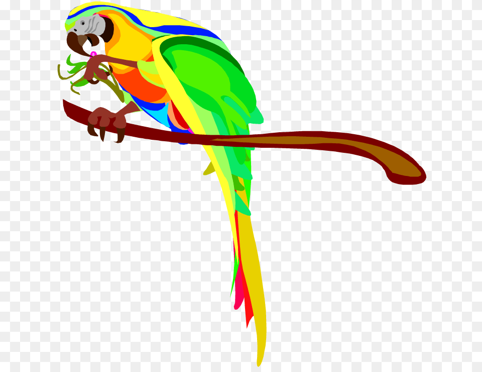 Parrot Clipart Macaw, Animal, Bird Png