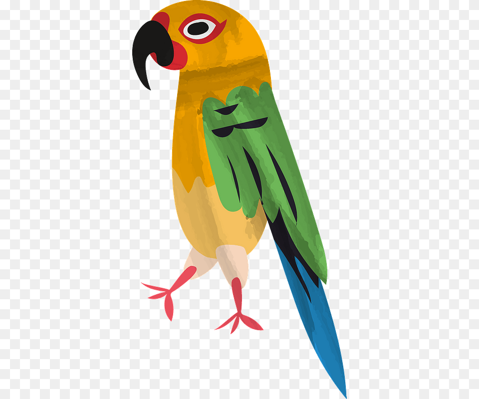 Parrot Clipart Macaw, Animal, Beak, Bird, Fish Free Transparent Png