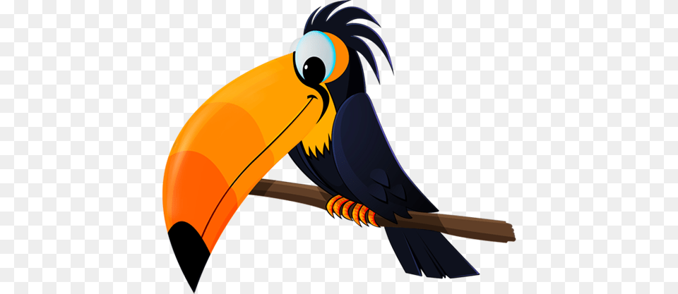Parrot Clipart Safari, Animal, Beak, Bird, Toucan Png Image