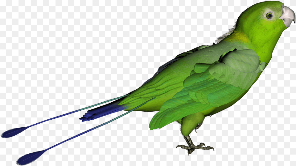 Parrot Clipart Transparent Green Bird, Animal, Parakeet Free Png Download