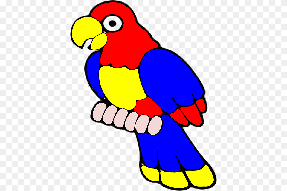 Parrot Clipart Tropical Bird, Animal, Beak, Dynamite, Weapon Png