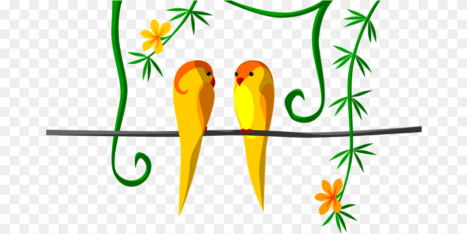 Parrot Couple Jungle Tropical Nem Tudo Funciona Com Wi Fi A Melhor Conexo Do, Animal, Art, Beak, Bird Free Png
