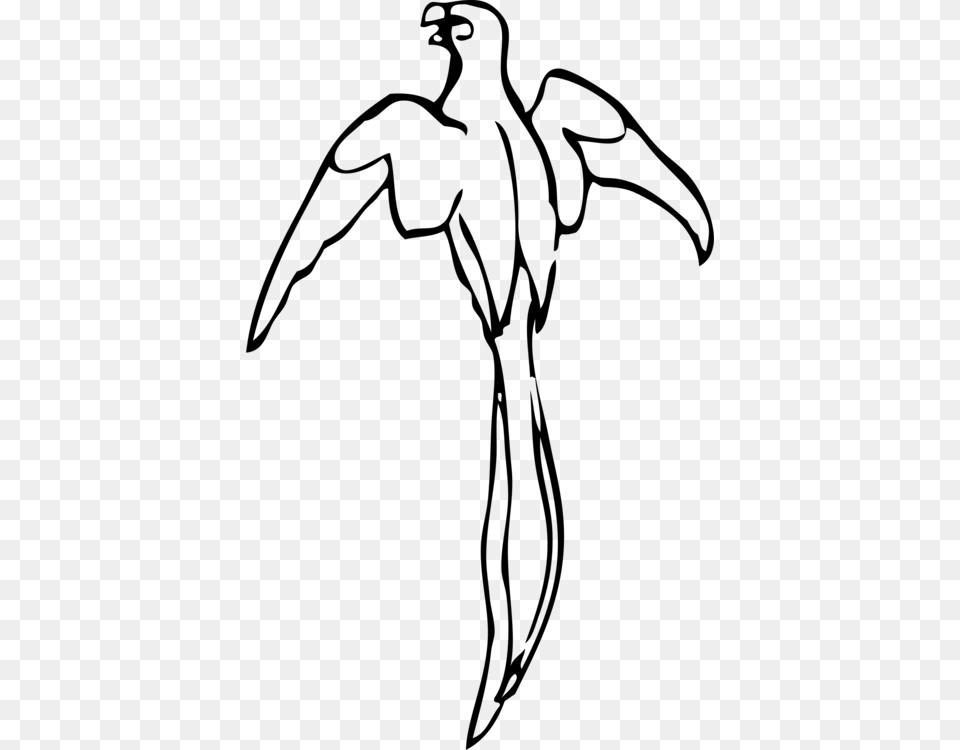 Parrot Drawing Bird Macaw Black And White, Gray Free Png Download