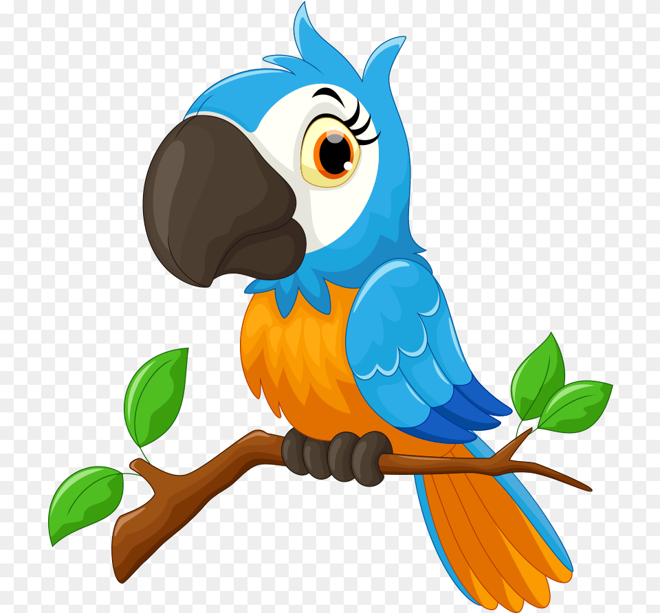 Parrot Drawing Download Parrot Bird Cartoon, Animal, Beak, Jay, Fish Free Png