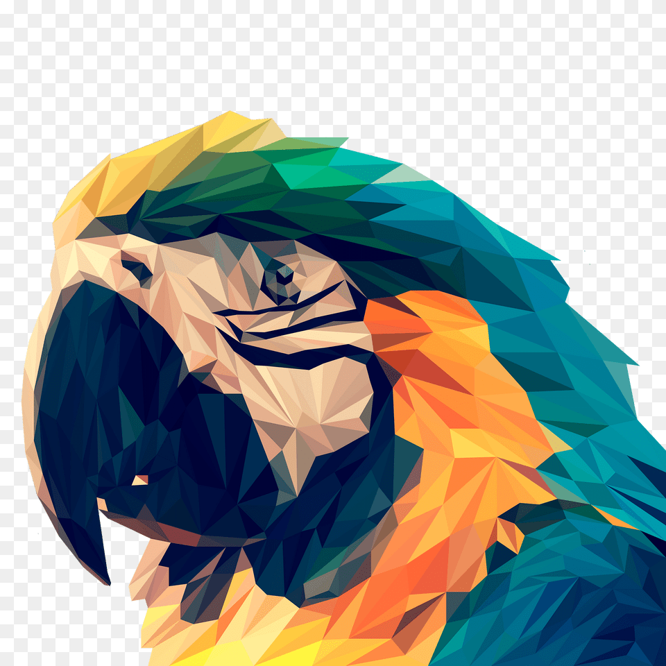 Parrot Face Clipart, Animal, Beak, Bird, Macaw Free Transparent Png