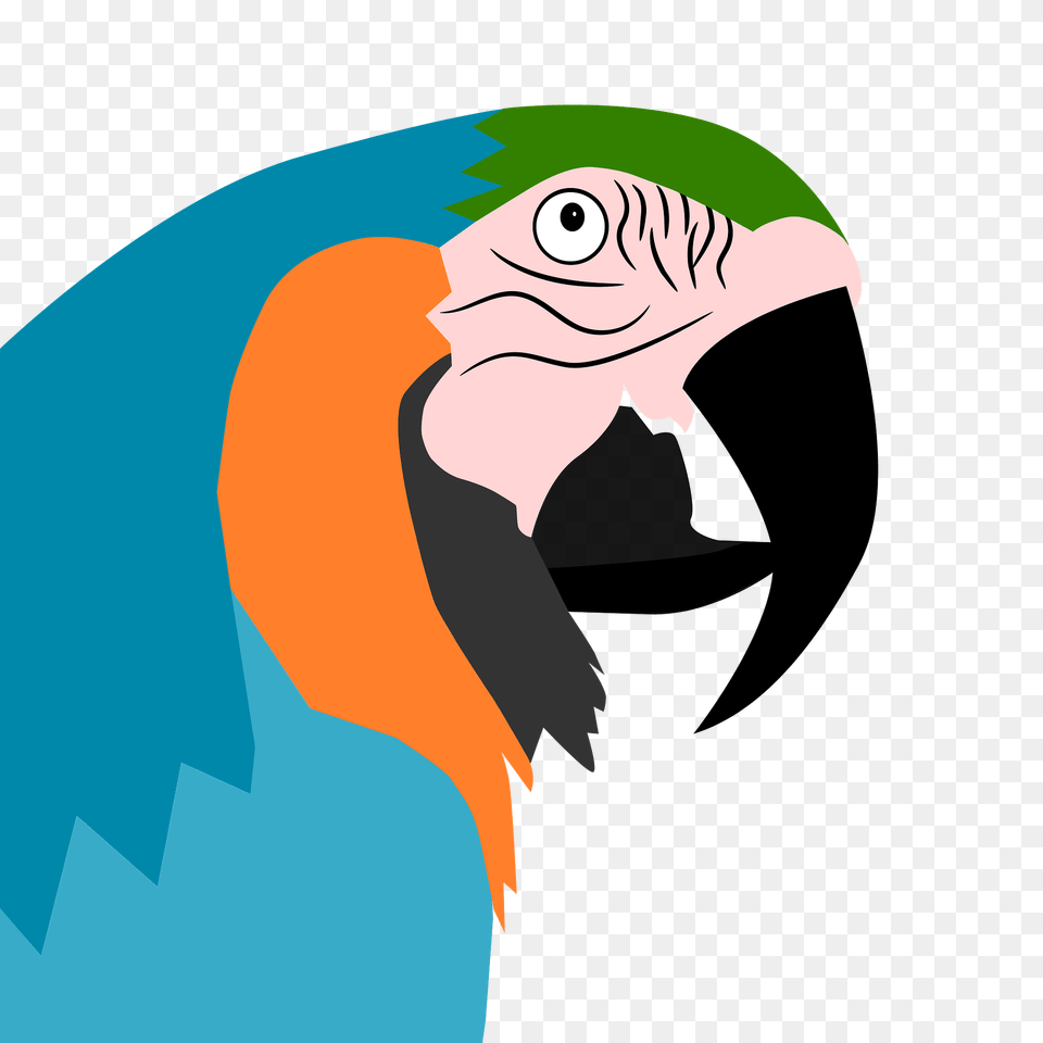 Parrot Face Clipart, Animal, Beak, Bird, Fish Png