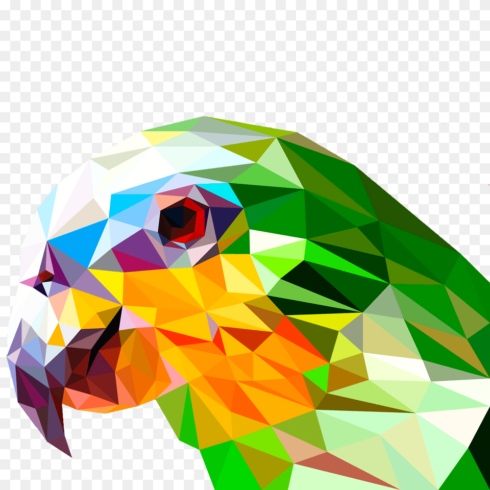 Parrot Face Clipart, Art, Graphics Free Png