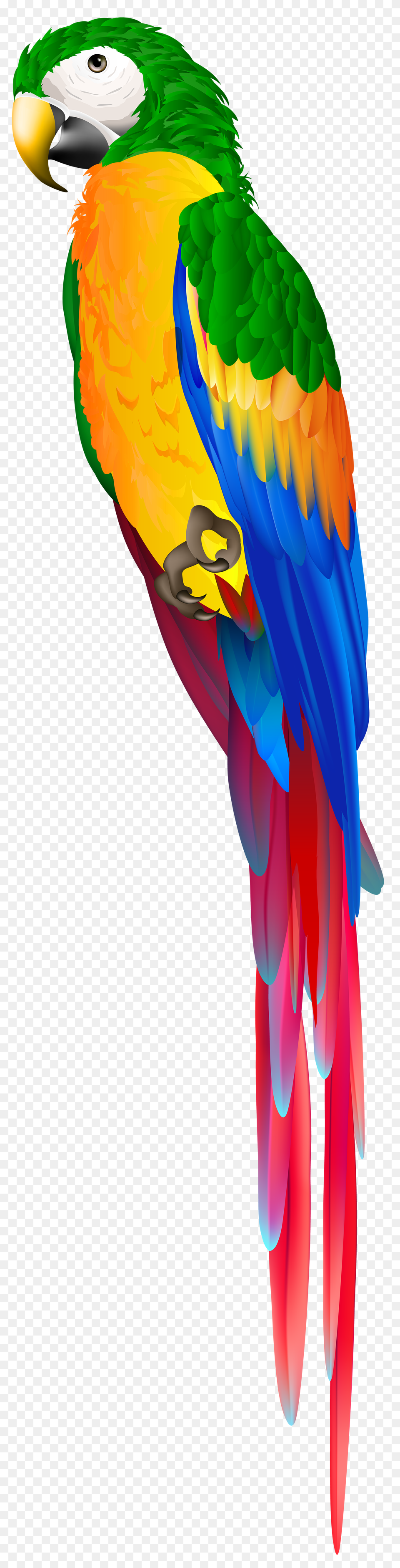 Parrot Green Clip Art Imageu200b Gallery Yopriceville, Animal, Bird, Macaw, Wedding Png Image