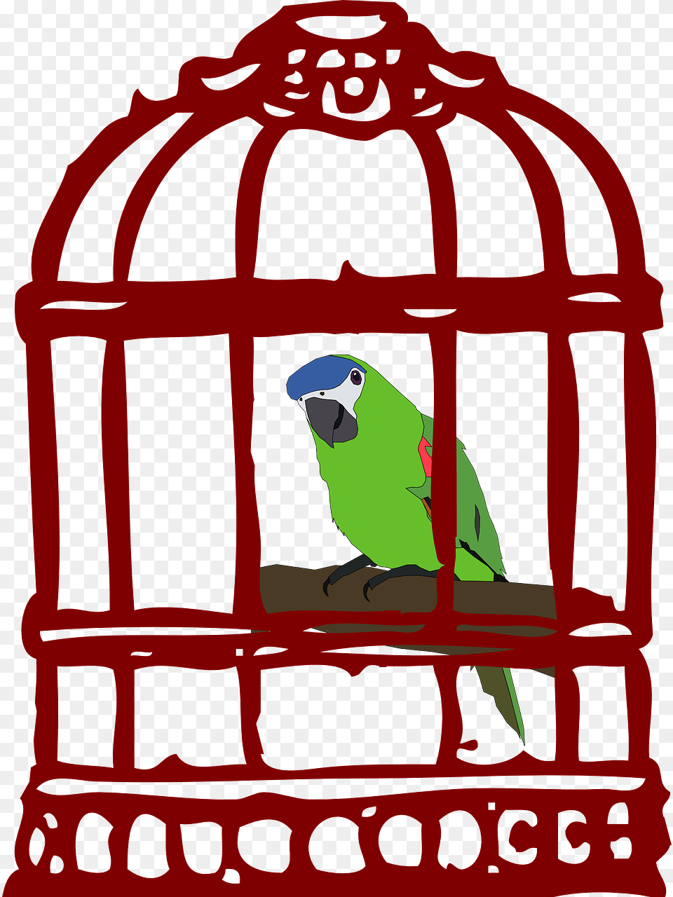 Parrot In The Cage, Animal, Bird, Parakeet Free Png Download