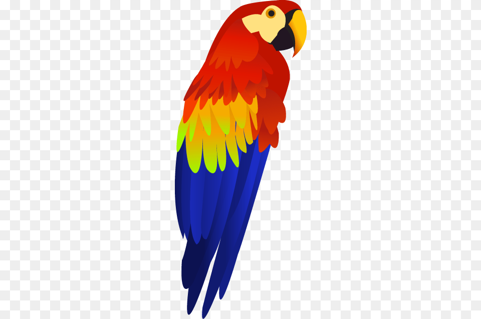 Parrot In Web Icons, Animal, Bird, Macaw, Person Free Png