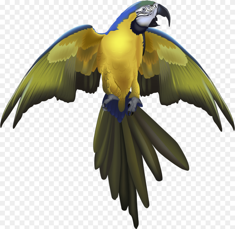 Parrot Konfest, Animal, Bird, Macaw Free Png Download