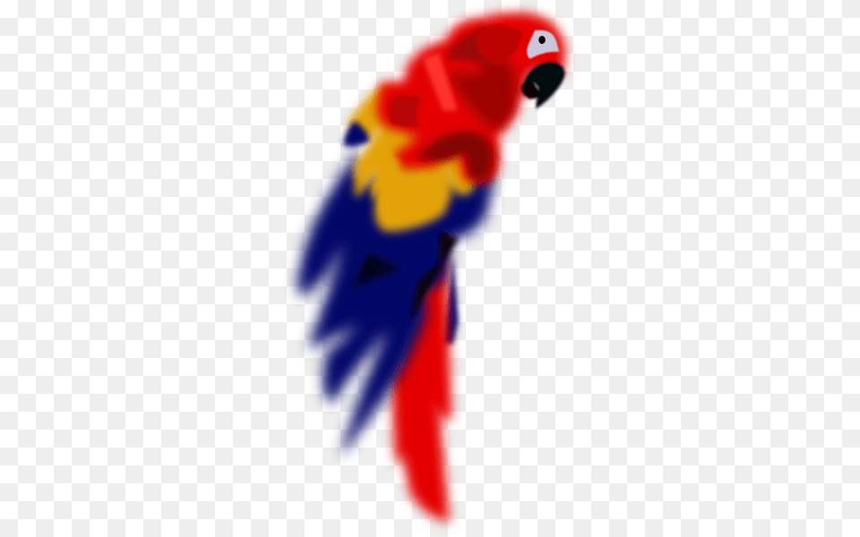 Parrot Macaw Arara Clip Art, Animal, Bird, Baby, Person Free Transparent Png