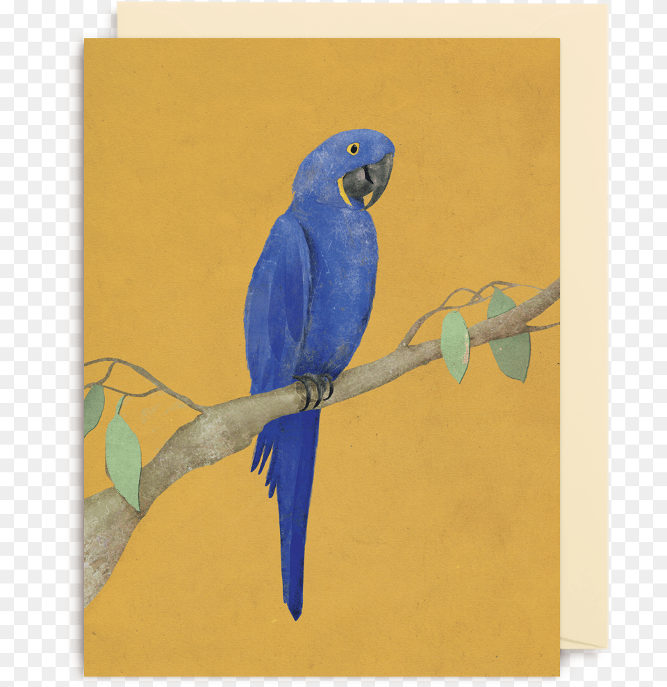 Parrot Mini Card Macaw, Animal, Bird Free Png Download