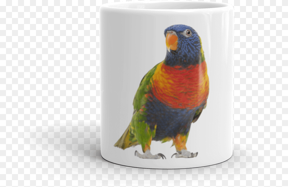 Parrot Mug Lorikeet, Animal, Bird Png