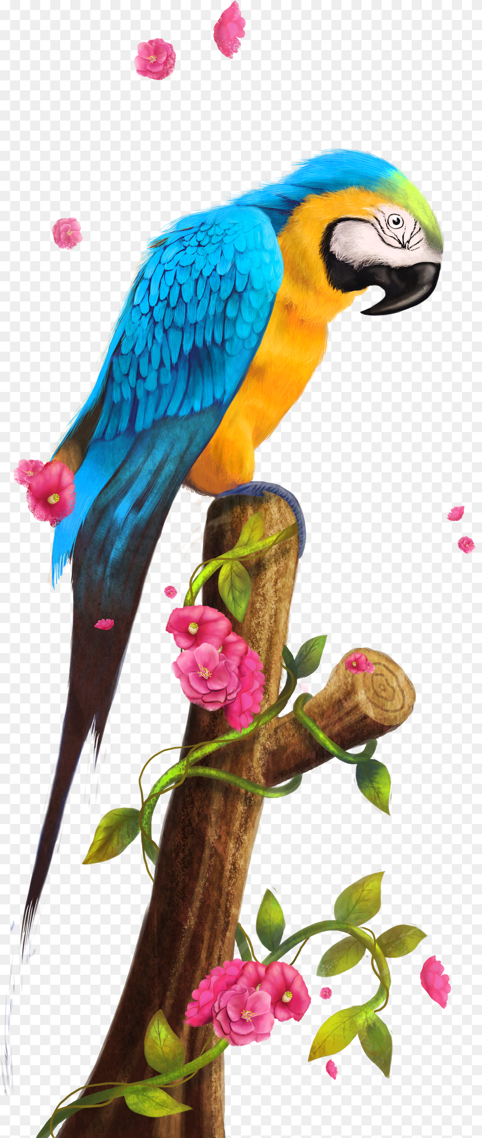 Parrot Nest Bird Clip Art Png