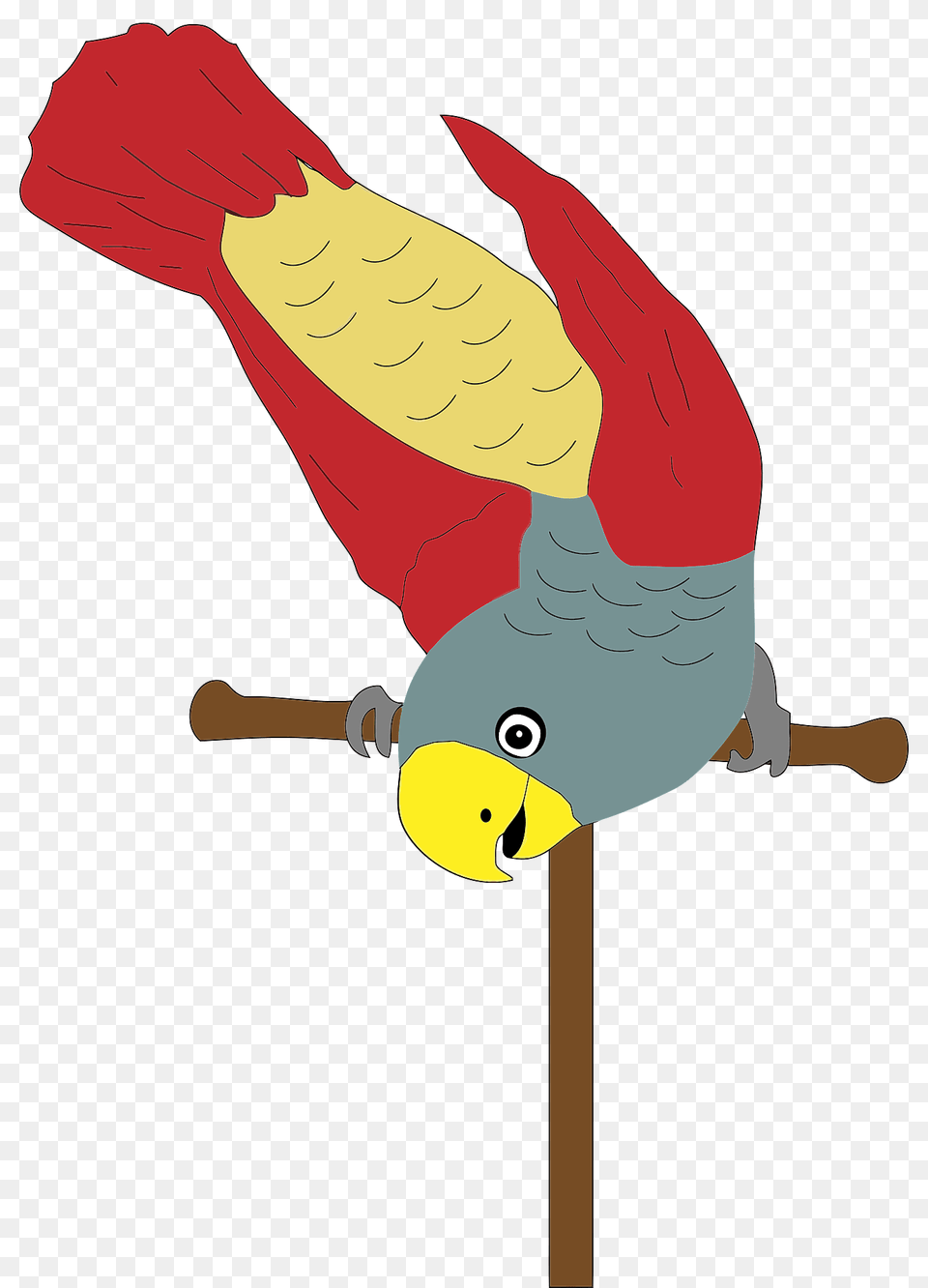 Parrot On Perch Clipart, Animal, Beak, Bird, Baby Free Transparent Png