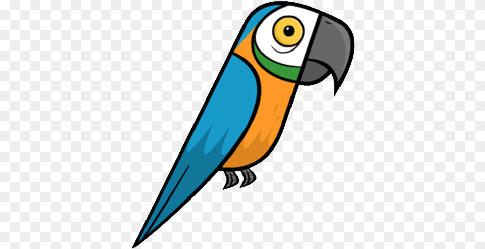 Parrot Parrot, Animal, Beak, Bird Png Image