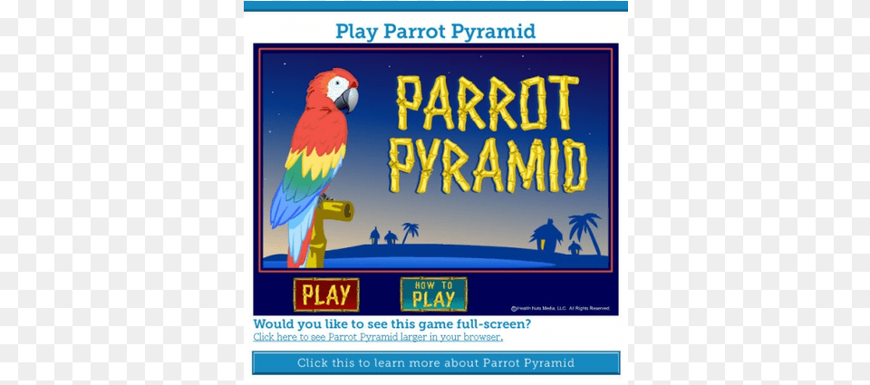 Parrot Pyramid Is An Online Flash Game That Makes Macaw, Animal, Bird, Person Png Image