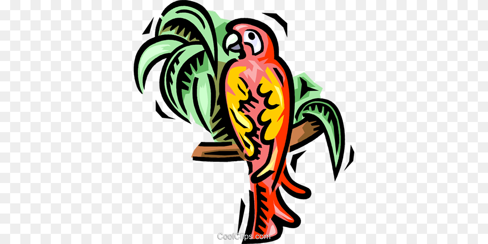 Parrot Royalty Free Vector Clip Art Illustration, Animal, Bird, Finch, Beak Png