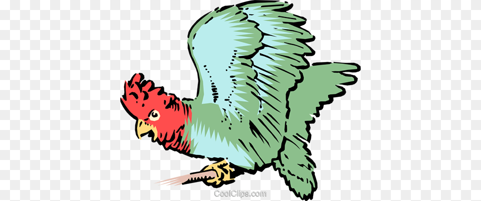 Parrot Royalty Vector Clip Art Illustration, Person, Animal, Bird, Beak Free Transparent Png