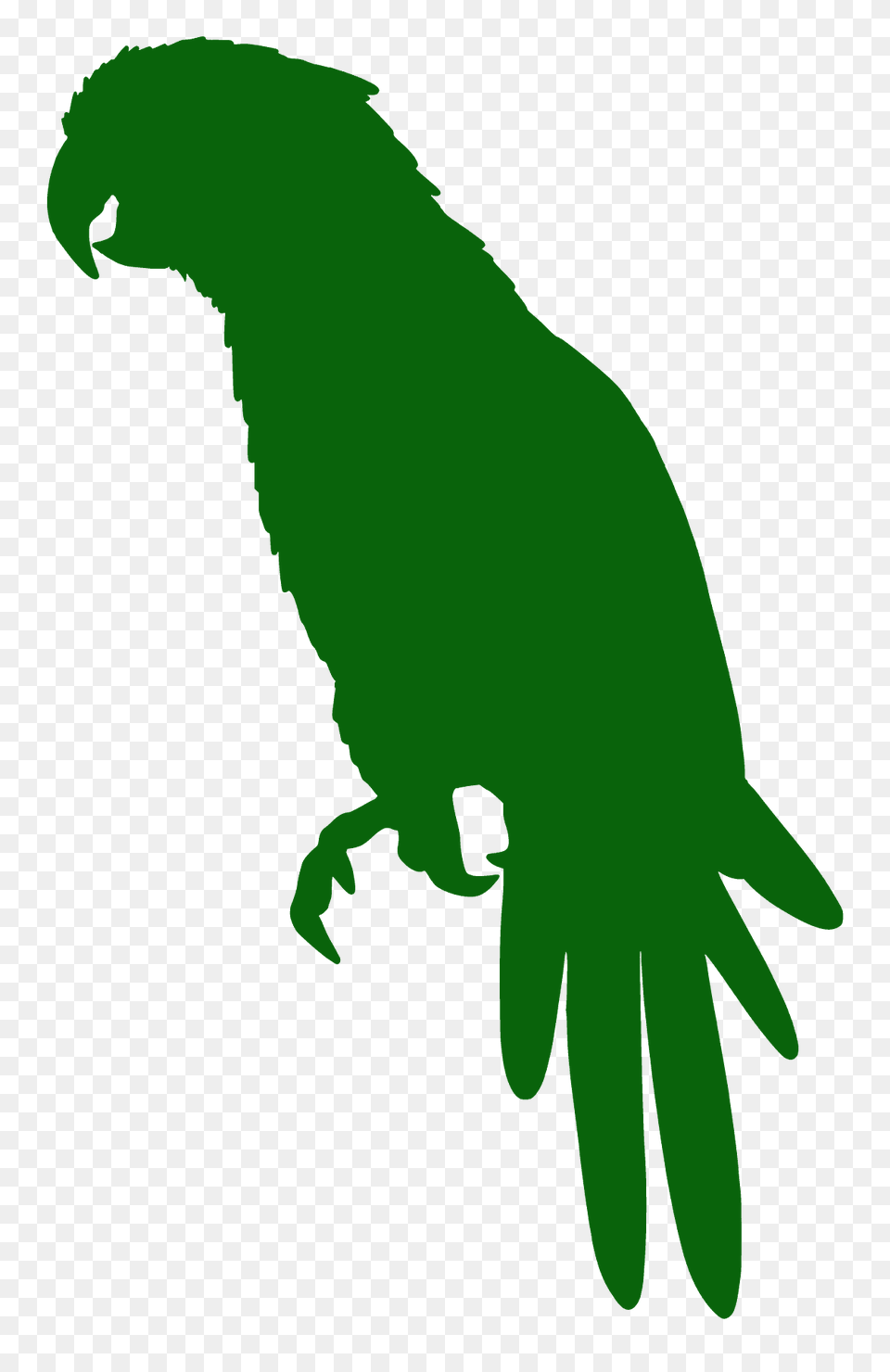 Parrot Silhouette, Person, Animal, Bird Free Transparent Png