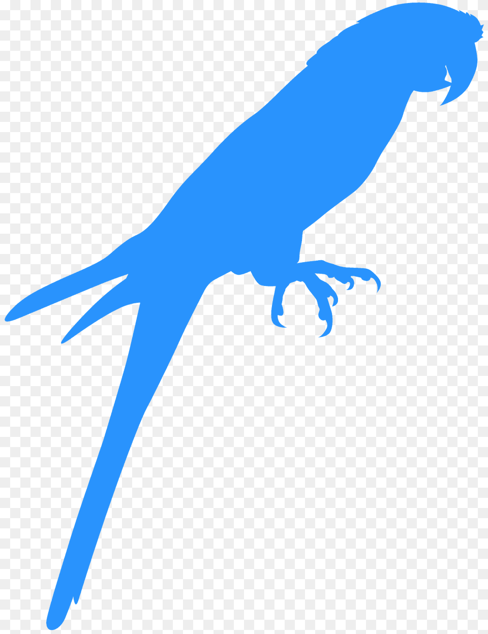 Parrot Silhouette, Animal, Bird, Parakeet, Fish Free Png