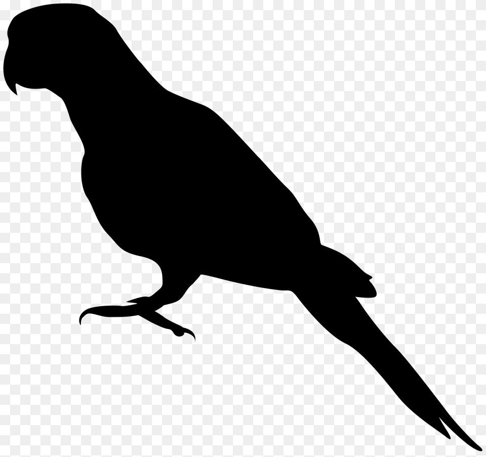 Parrot Silhouette Clip Art Png