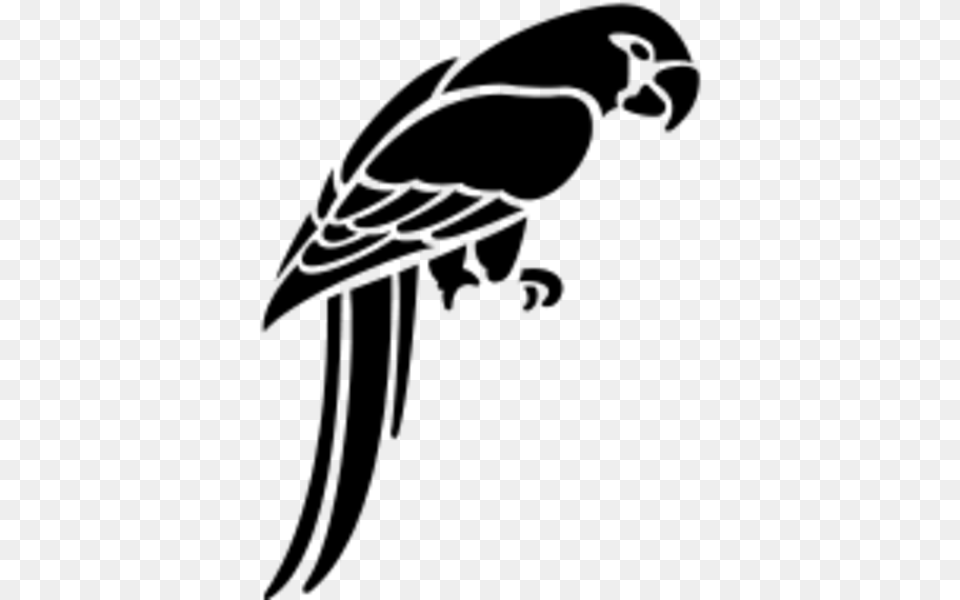 Parrot Stencil, Gray Png