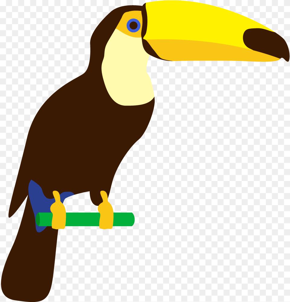 Parrot Toucan Art Cartoon Banner Desenho Papagaio, Animal, Beak, Bird Free Png