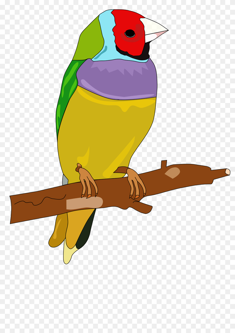 Parrot Toy Cliparts, Animal, Beak, Bird, Finch Png Image