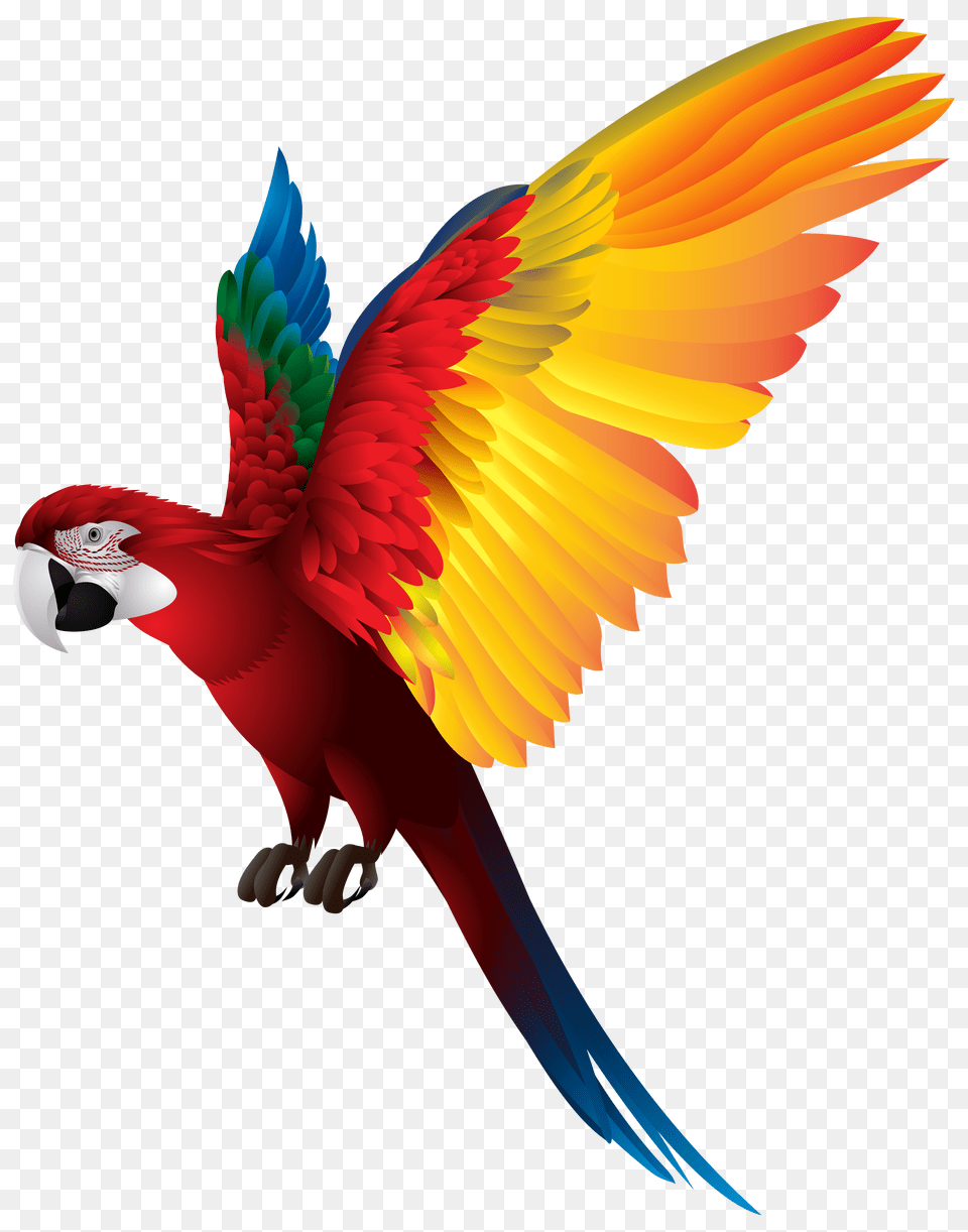 Parrot Transparent Clip Art Png Image