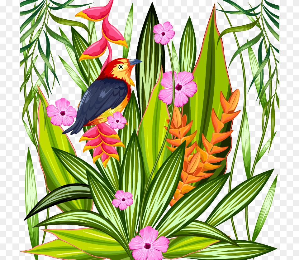 Parrot Tropics Tropical Rainforest Illustration, Vegetation, Art, Plant, Floral Design Free Png Download