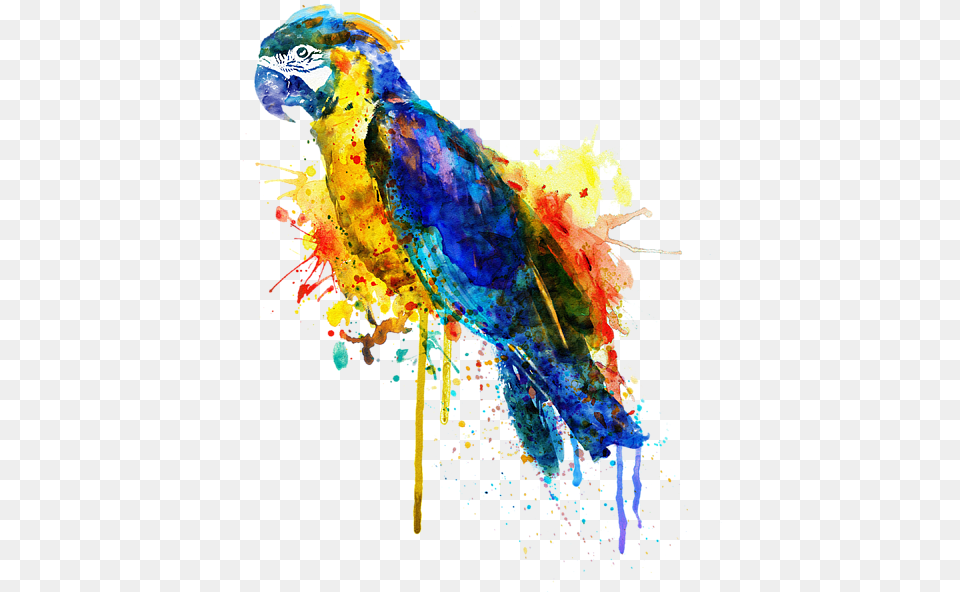 Parrot Watercolor Painting, Animal, Bird Png