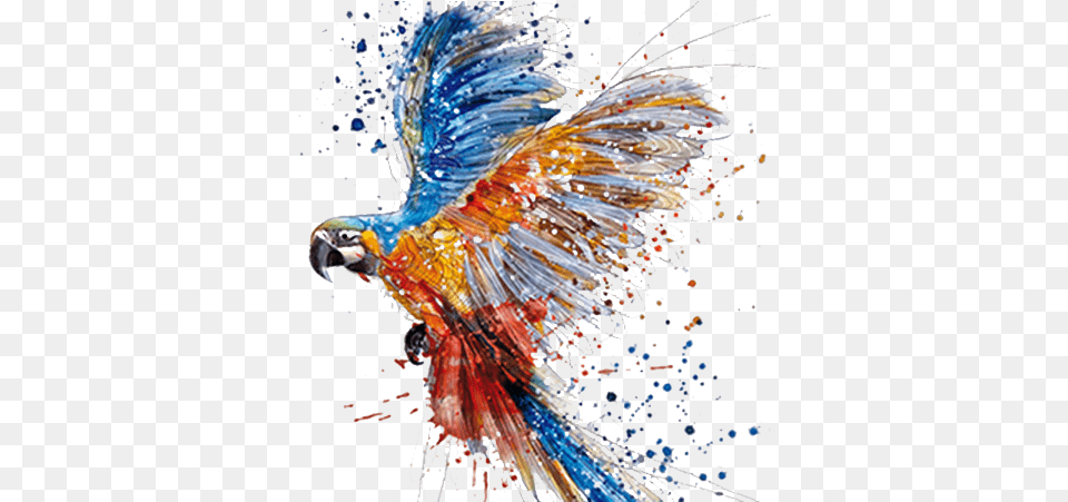 Parrot Watercolor Painting Drawing Art All Animals In The World, Animal, Beak, Bird, Fish Png Image