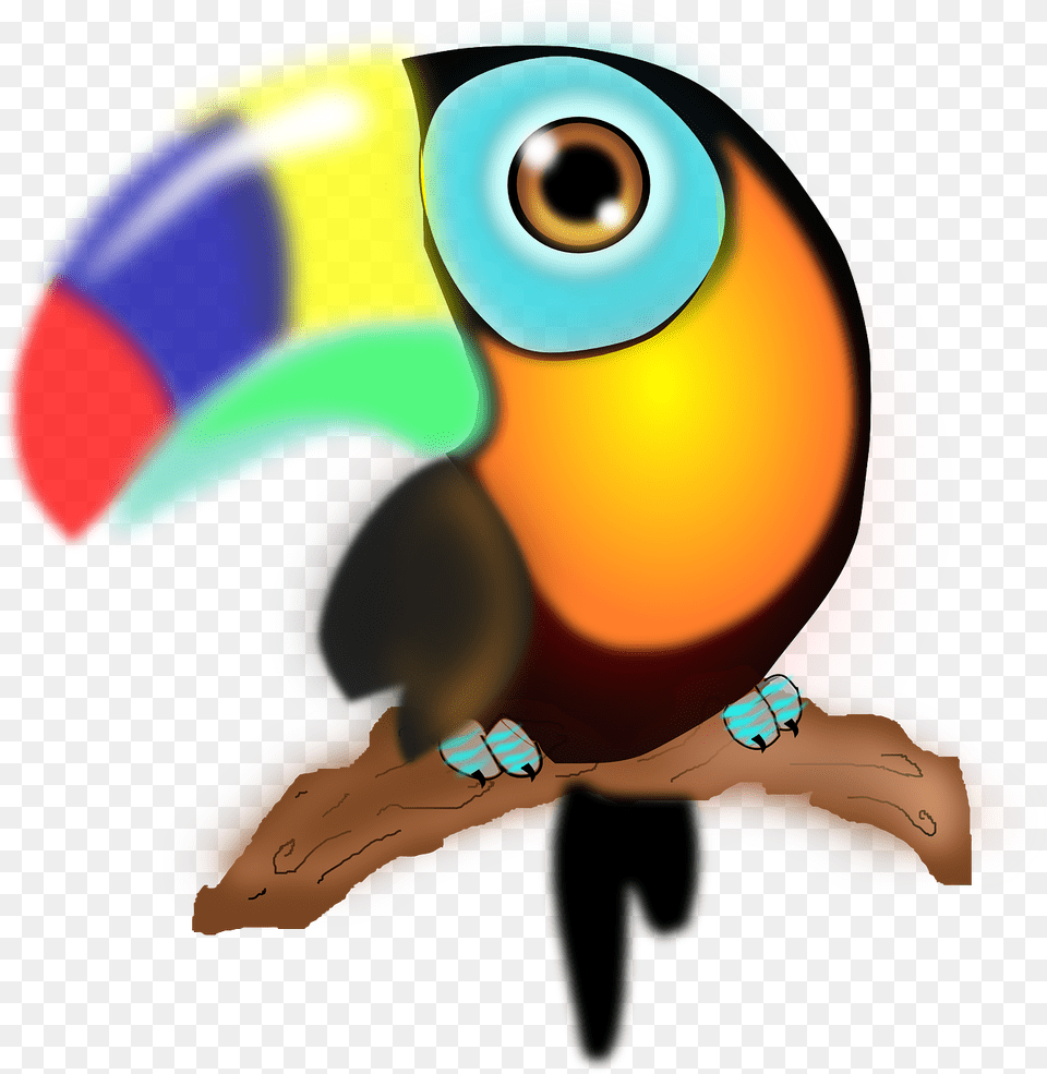 Parrot With Colorful Beak, Animal, Bird, Toucan, Clothing Free Transparent Png