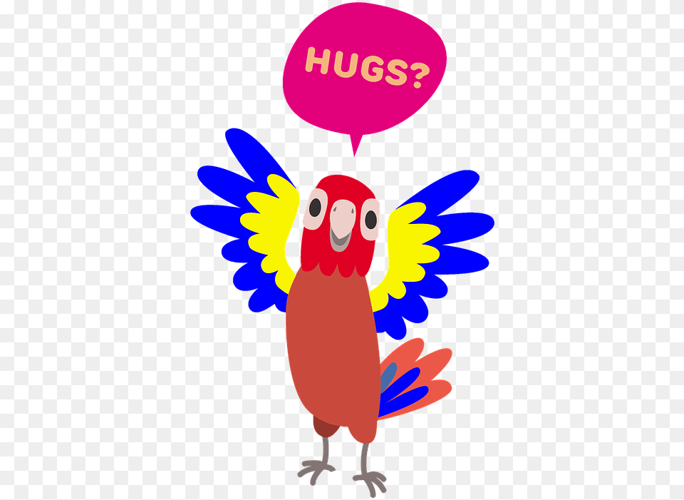 Parrots, Animal, Bird Png