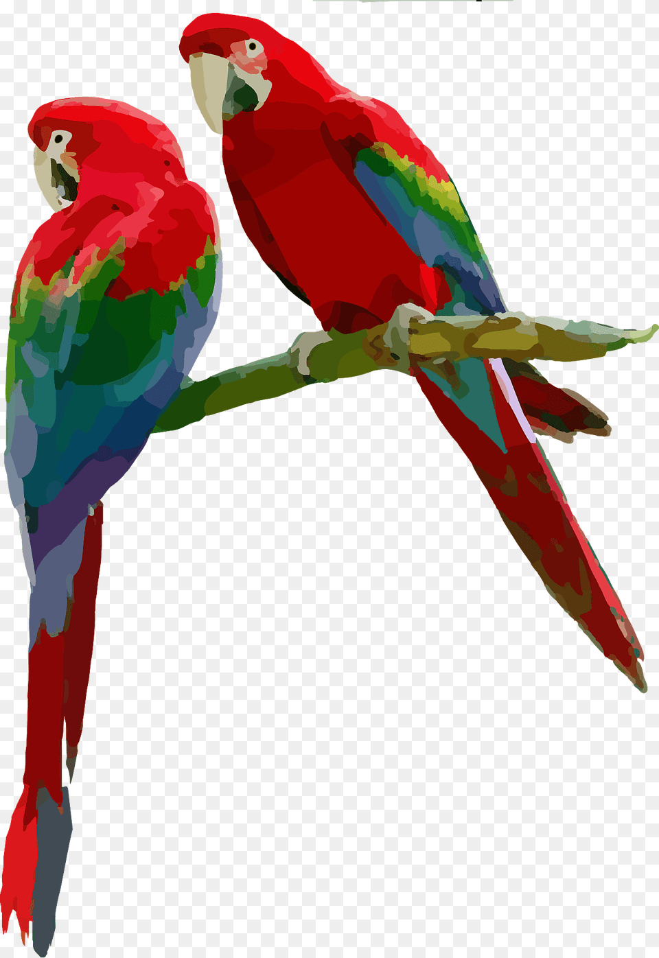 Parrots Sitting On A Branch Clipart, Animal, Bird, Parrot, Person Free Transparent Png