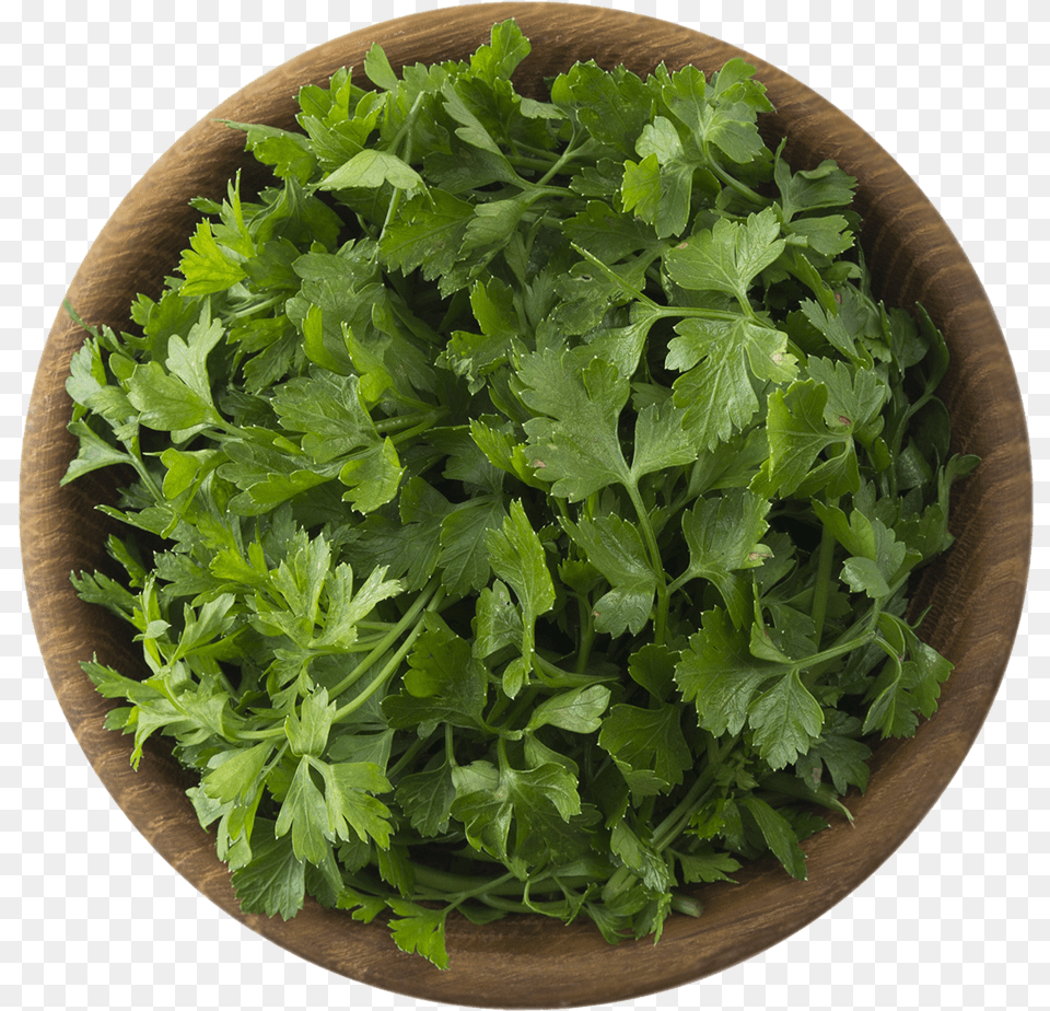 Parsley, Herbs, Plant, Cilantro, Food Free Png Download