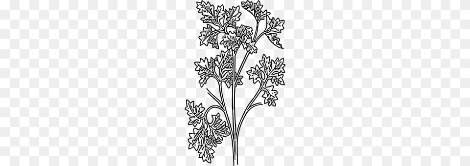 Parsley Gray Free Transparent Png